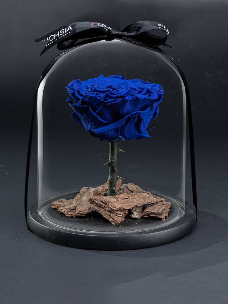 Single Blue Forever Rose