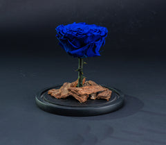 Single Blue Forever Rose