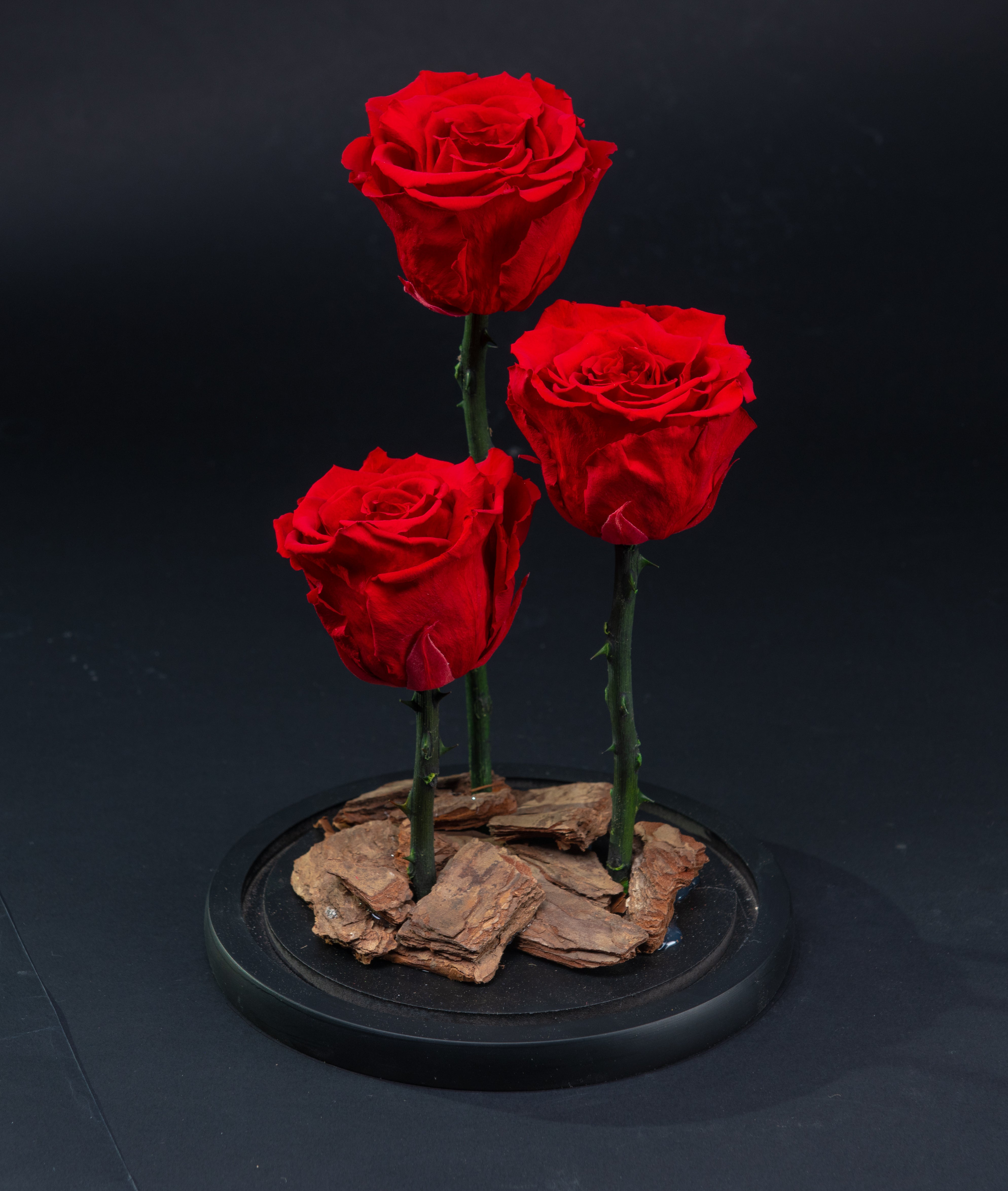 Red Trio Infinity Rose