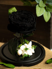 Single Black Forever Rose