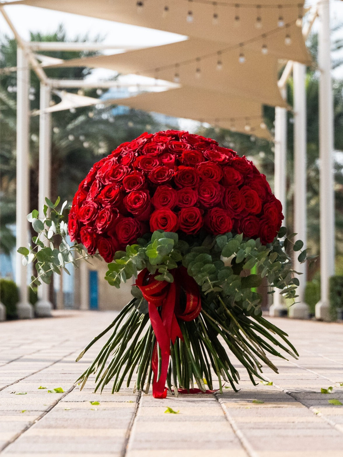 Red Roses with Eucalyptus