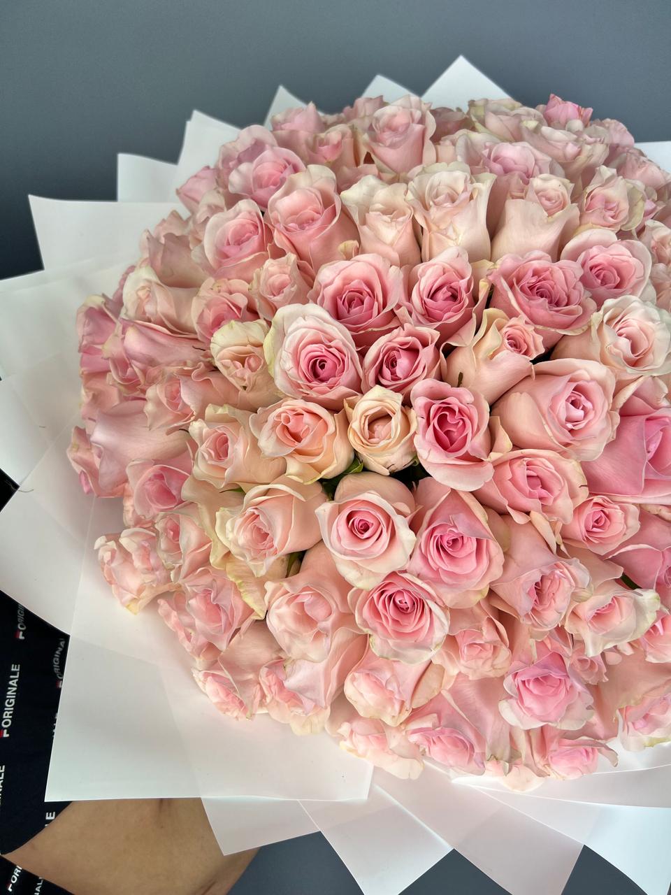 XL Light Pink Roses