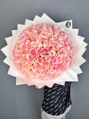 XL Light Pink Roses