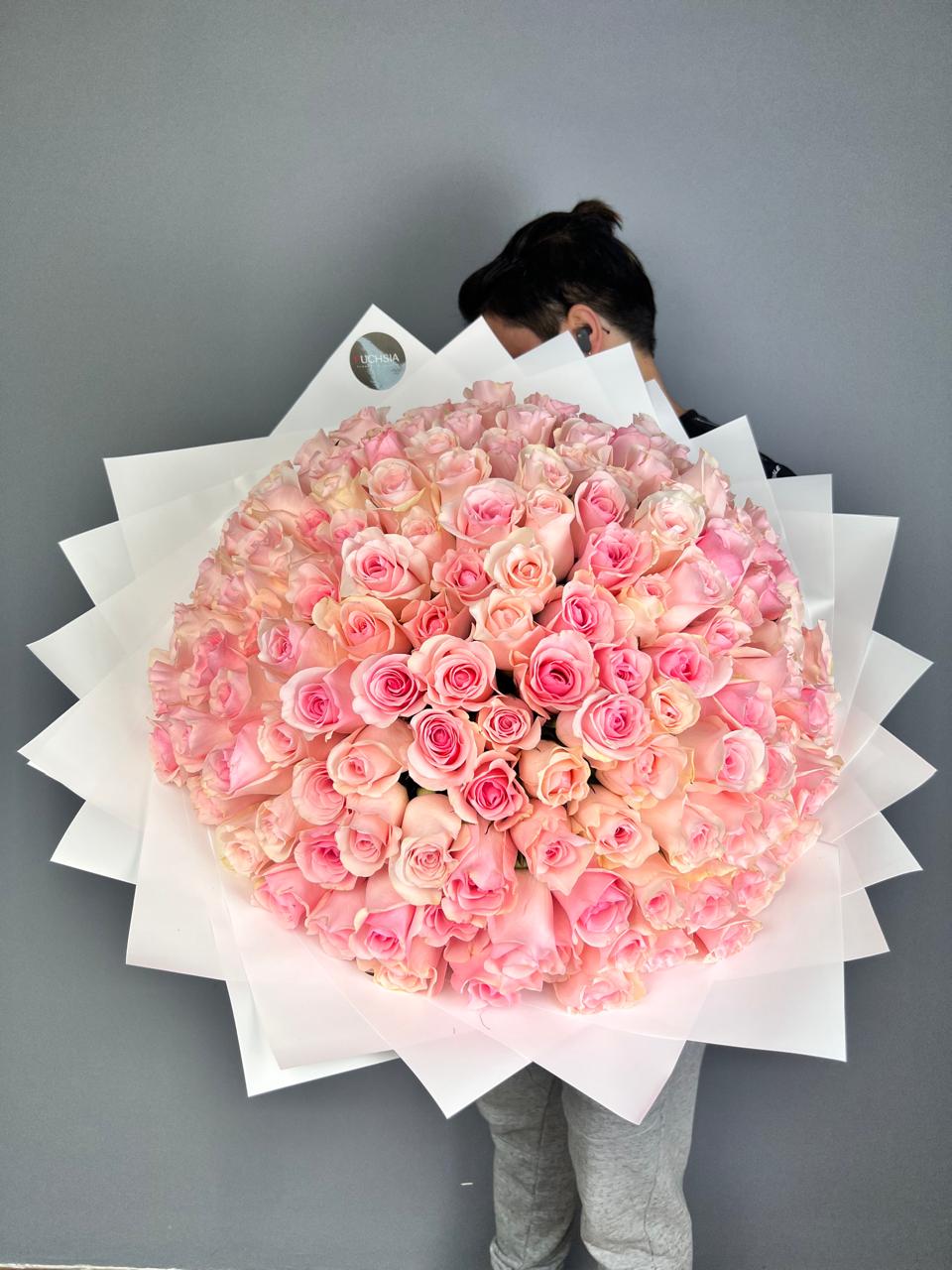 XL Light Pink Roses