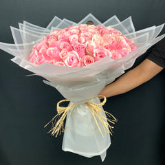 Light Pink Roses