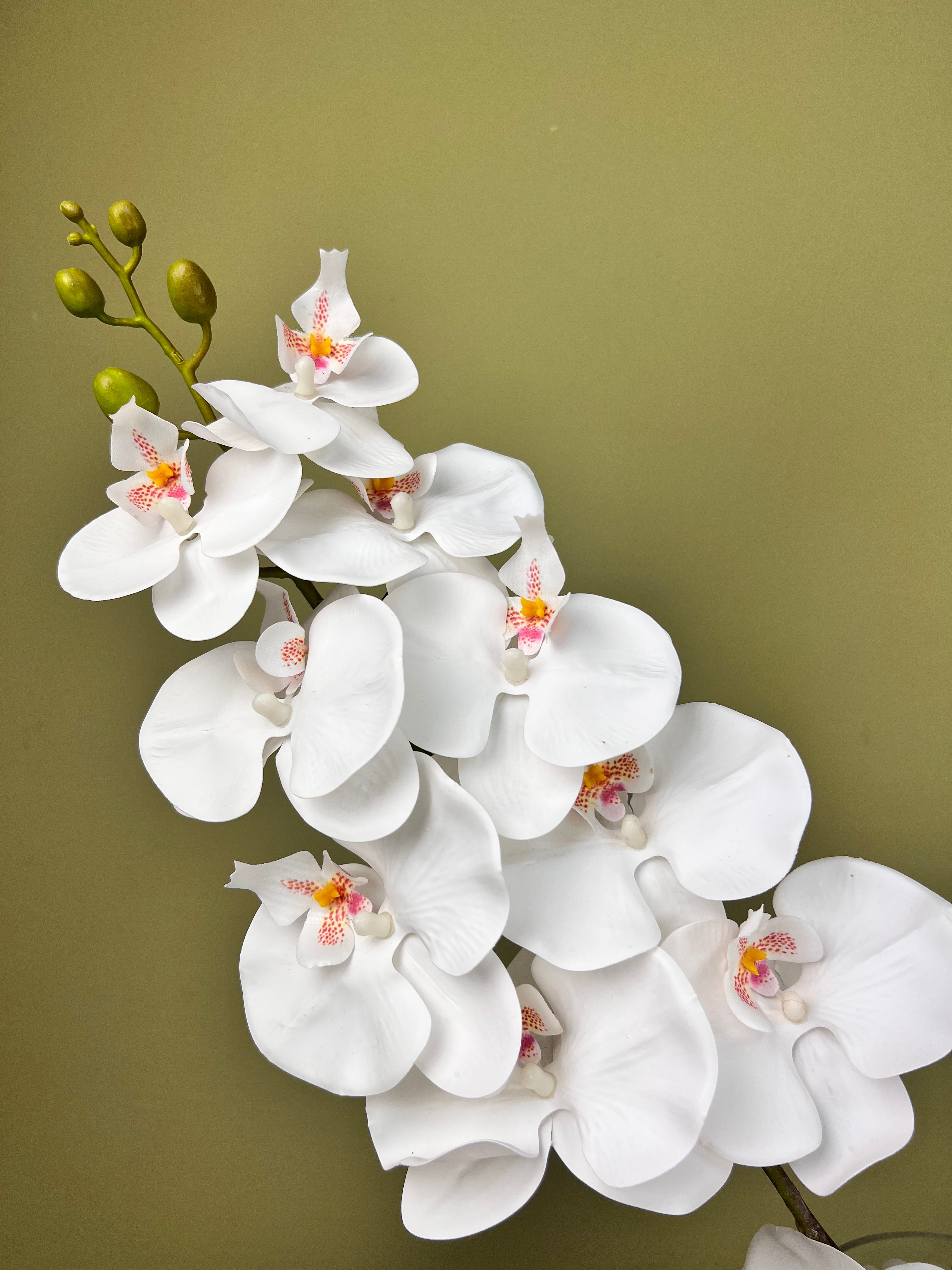 Artificial Orchid White Phalaenopsis