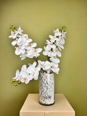 Artificial Orchid White Phalaenopsis