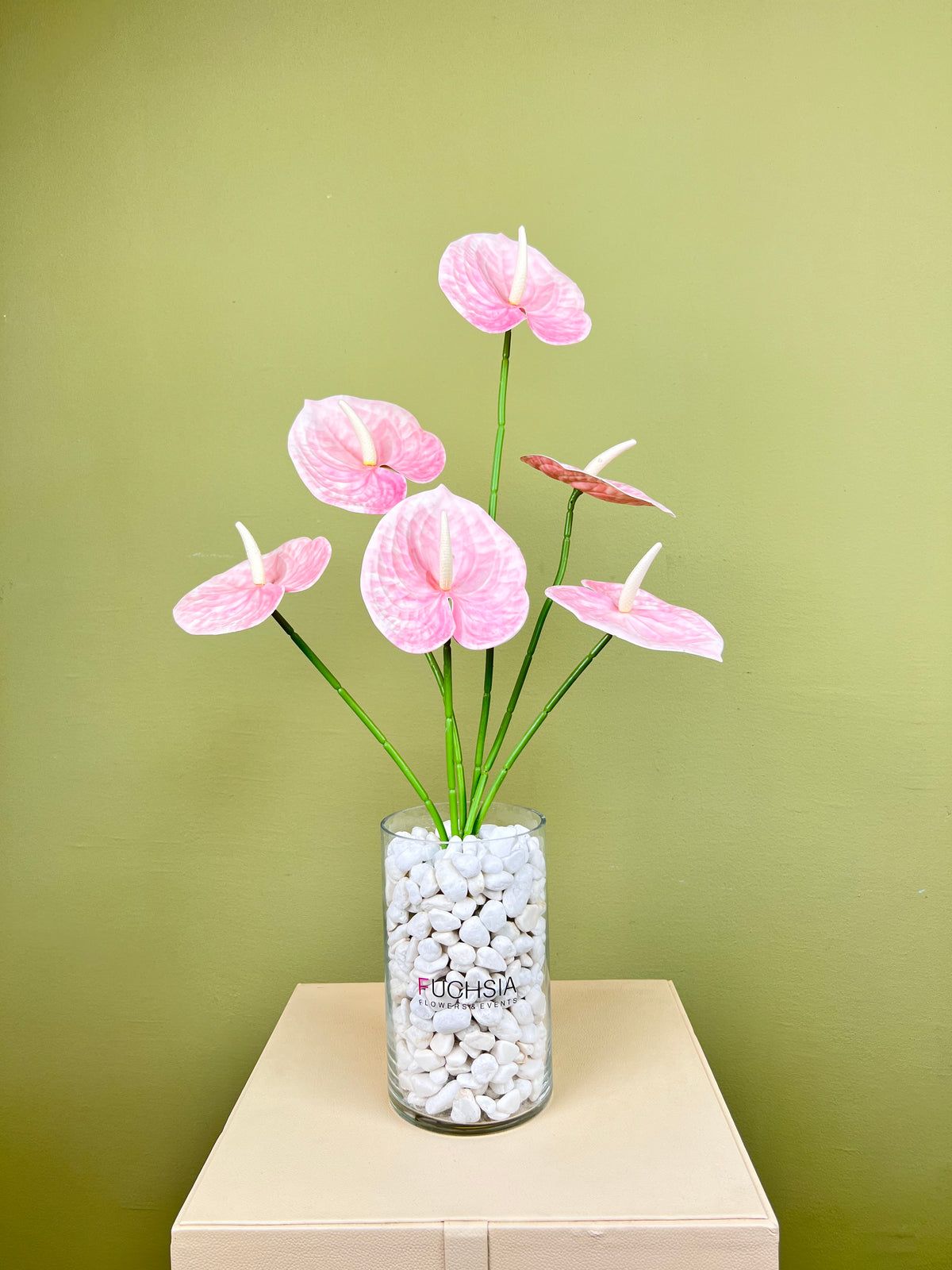 Pink Anthurium